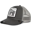 czapki-curva-szary-snapback-the-farm-de-goorin-bros