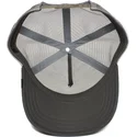 czapki-curva-szary-snapback-the-farm-de-goorin-bros