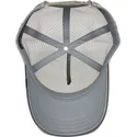 czapki-curva-szary-snapback-the-farm-de-goorin-bros