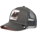 czapki-curva-szary-snapback-the-farm-de-goorin-bros