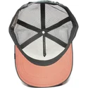 czapki-curva-szary-snapback-the-farm-de-goorin-bros