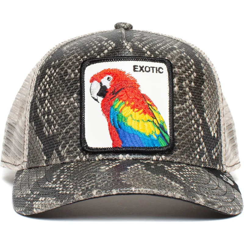 czapki-curva-czarny-snapback-the-farm-de-goorin-bros