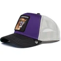 czapki-curva-fioletowy-snapback-dientes-sable-sabertooth-the-farm-de-goorin-bros