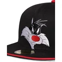 czapki-plana-czarny-snapback-difuzed