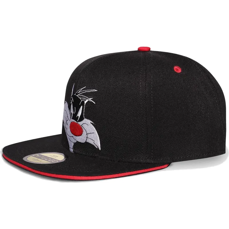 czapki-plana-czarny-snapback-difuzed