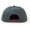 czapki-plana-zielony-snapback-difuzed