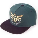 czapki-plana-zielony-snapback-difuzed