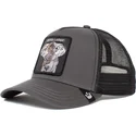 czapki-curva-szary-snapback-the-farm-de-goorin-bros