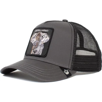 czapki-curva-szary-snapback-the-farm-de-goorin-bros
