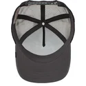 czapki-curva-szary-snapback-the-farm-de-goorin-bros