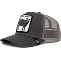 czapki-curva-szary-snapback-dla-dziecka-the-farm-de-goorin-bros