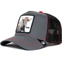 czapki-curva-czarny-snapback-the-farm-de-goorin-bros
