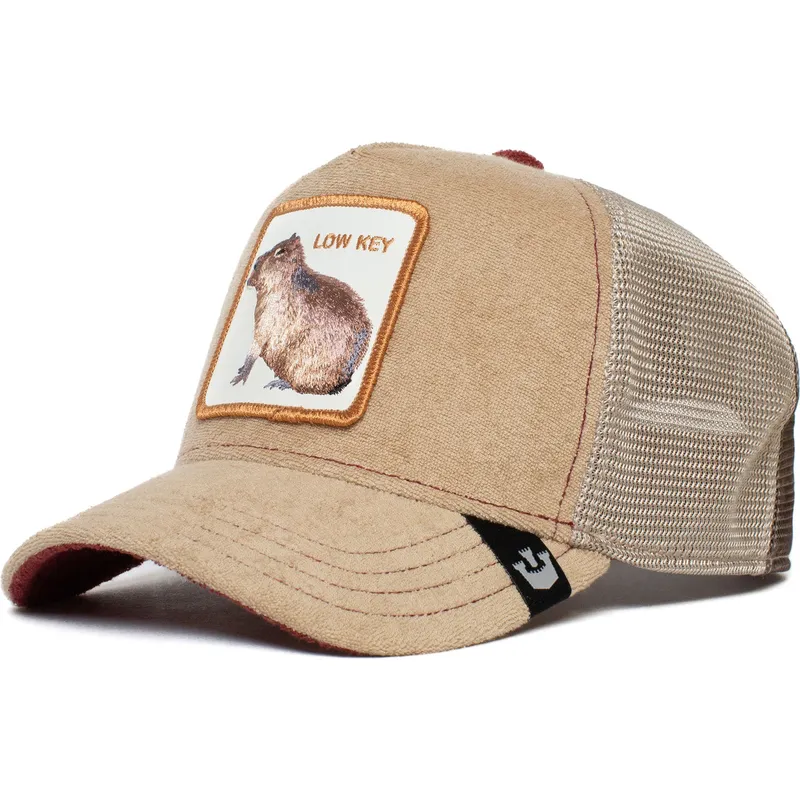 czapki-curva-brazowy-snapback-the-farm-de-goorin-bros
