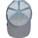 czapki-curva-szary-snapback-the-farm-de-goorin-bros