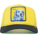 czapka-trucker-zolto-czarna-pies-labrador-retriever-loyal-doggy-trip-the-farm-goorin-bros