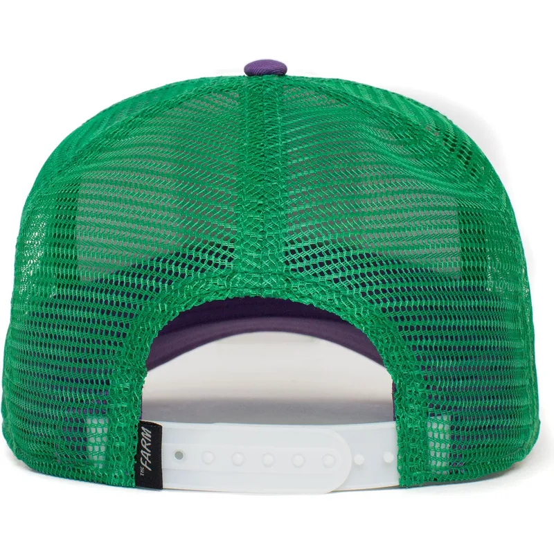 czapki-curva-wielokolorowy-snapback-the-farm-de-goorin-bros