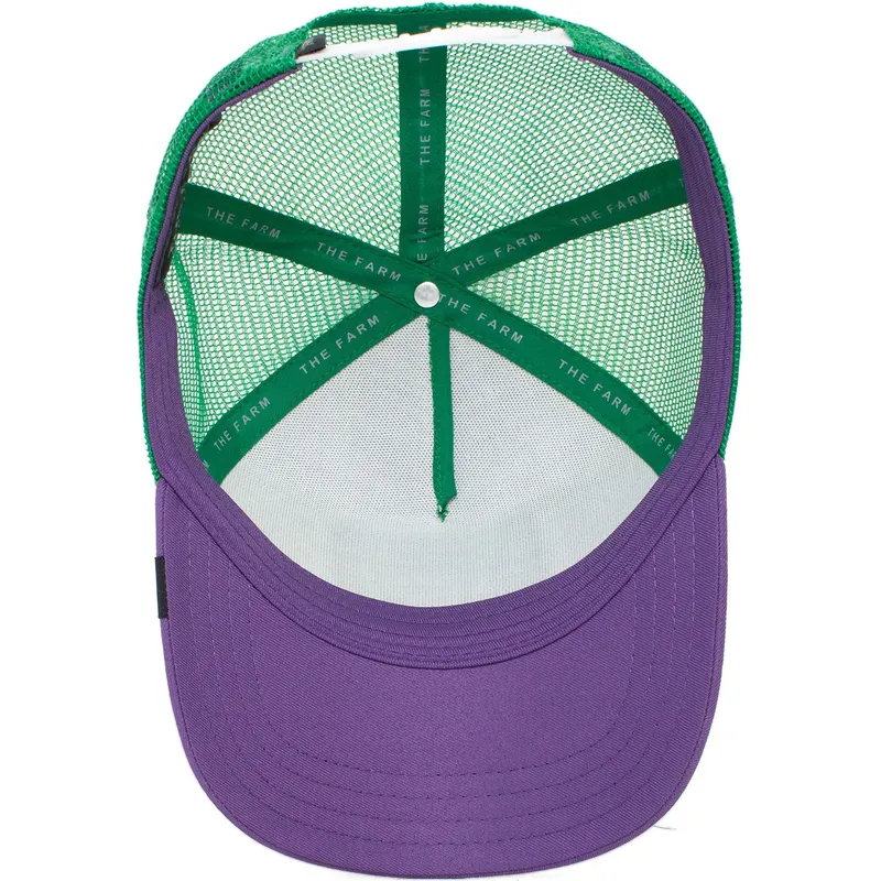 czapki-curva-wielokolorowy-snapback-the-farm-de-goorin-bros