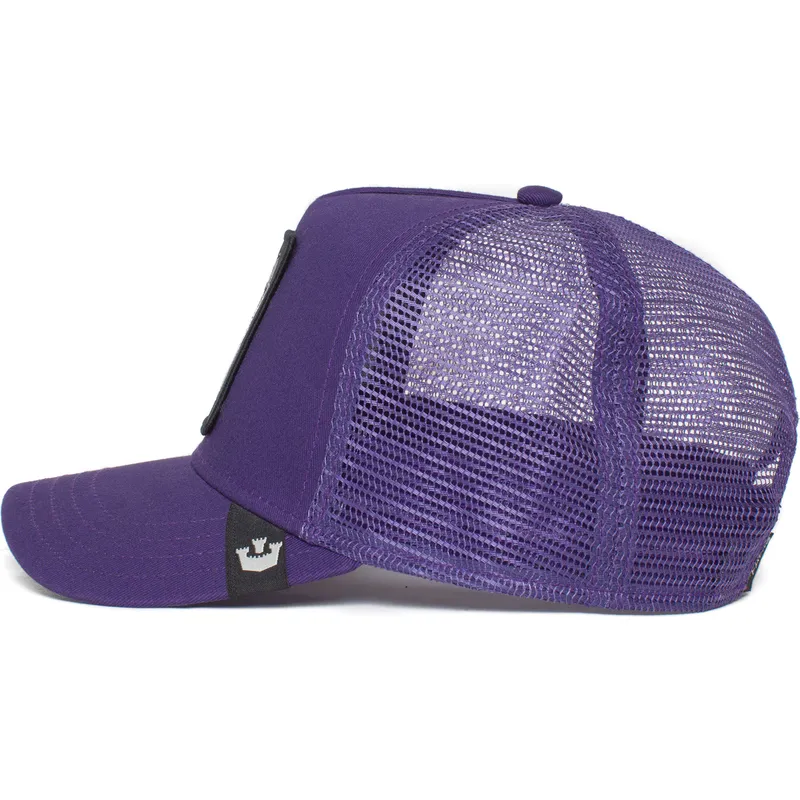 czapki-curva-fioletowy-snapback-the-farm-de-goorin-bros