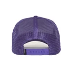czapki-curva-fioletowy-snapback-the-farm-de-goorin-bros