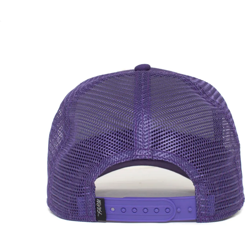 czapki-curva-fioletowy-snapback-the-farm-de-goorin-bros