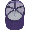 czapki-curva-fioletowy-snapback-the-farm-de-goorin-bros