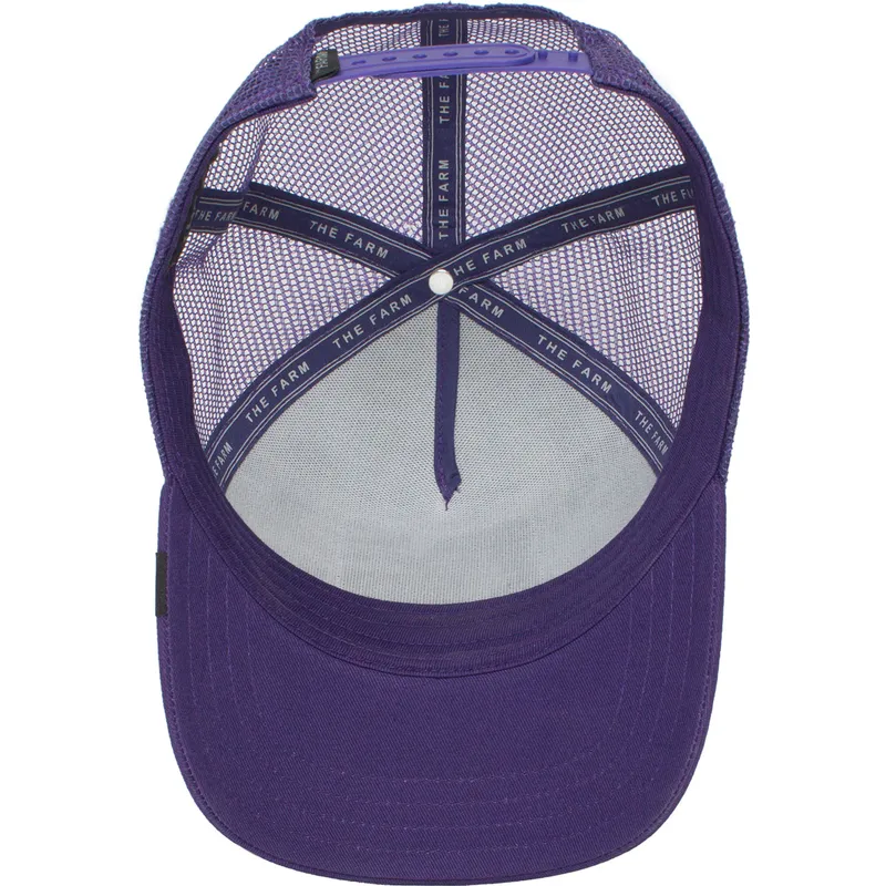 czapki-curva-fioletowy-snapback-the-farm-de-goorin-bros