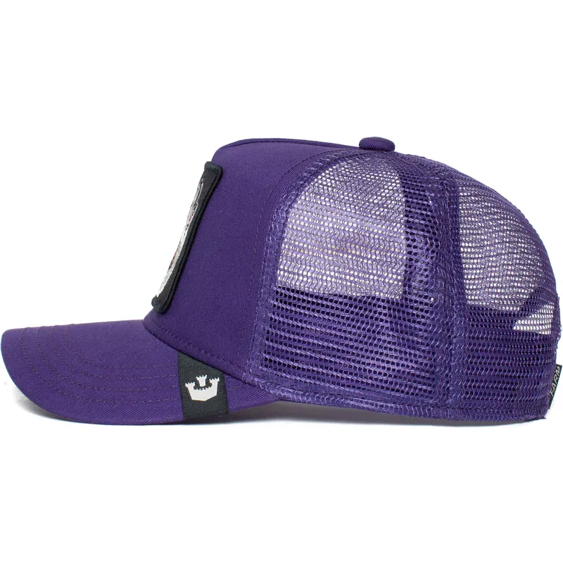 czapki-curva-fioletowy-snapback-dla-dziecka-the-farm-de-goorin-bros