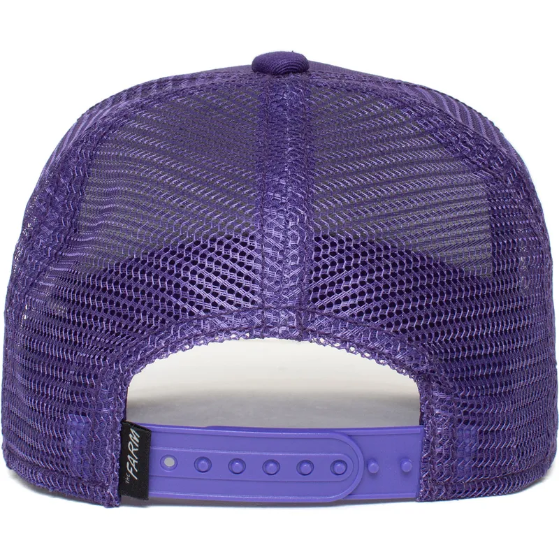 czapki-curva-fioletowy-snapback-dla-dziecka-the-farm-de-goorin-bros