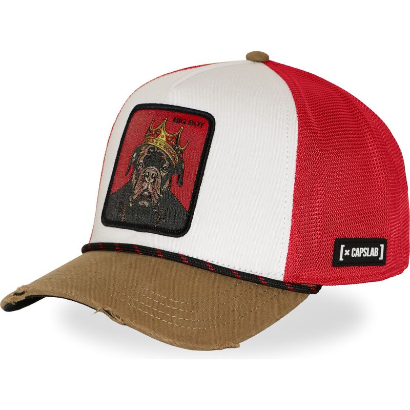czapka-trucker-wielokolorowa-big-boy-hip-bigb-hip-hop-dogz-od-capslab