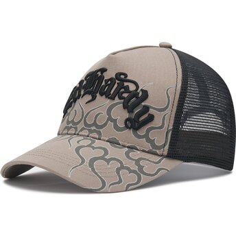 Czapki zakrzywiona szary snapback Flaming Ed Hardy