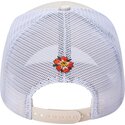 czapki-zakrzywiona-bezowy-snapback-tokyo-geisha-ed-hardy