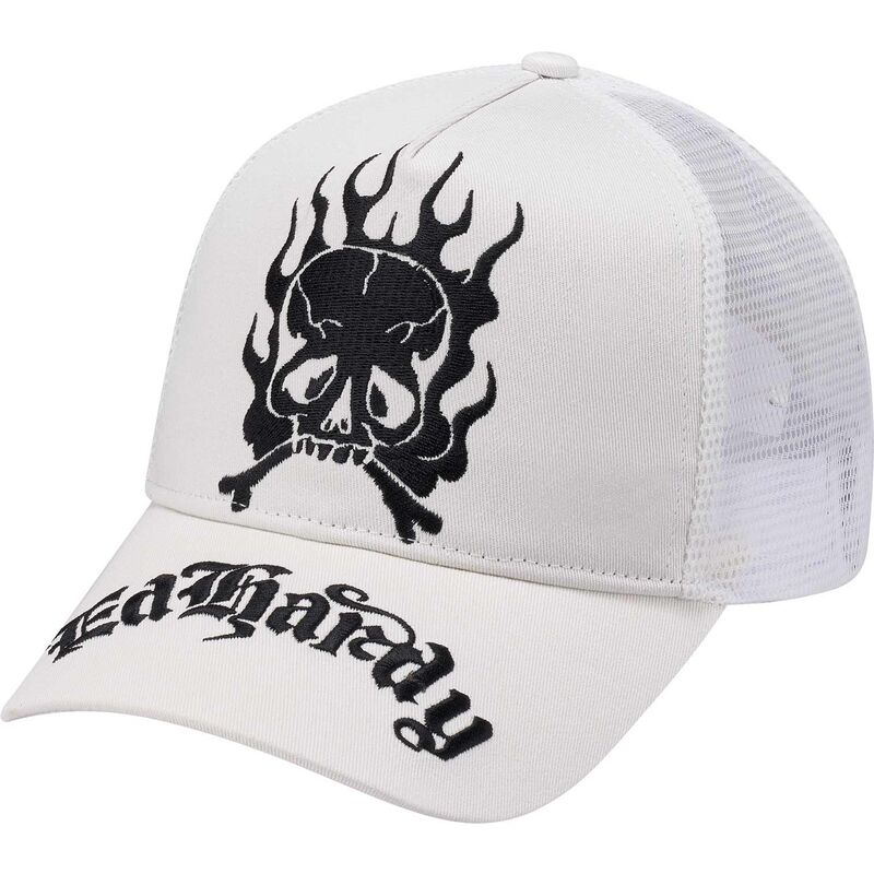 czapki-zakrzywiona-bialy-snapback-gothic-skull-in-flames-ed-hardy