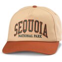 czapki-zakrzywiona-brazowy-snapback-roscoe-sequoia-national-park-american-needle