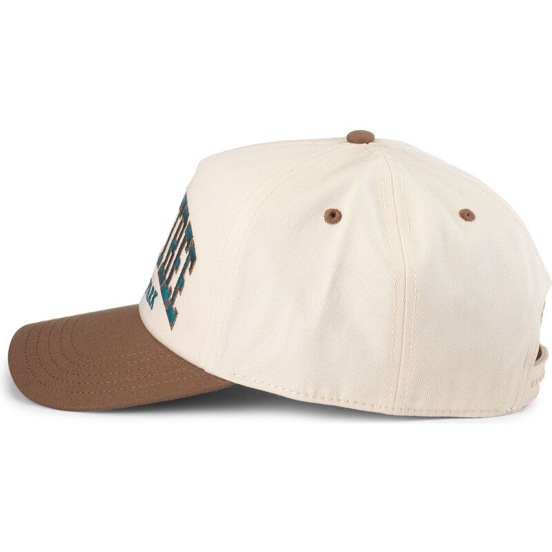czapki-zakrzywiona-brazowy-snapback-roscoe-joshua-tree-national-park-american-needle