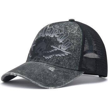 Czapki zakrzywiona szary snapback Flaming Gothic Skull Washed Ed Hardy