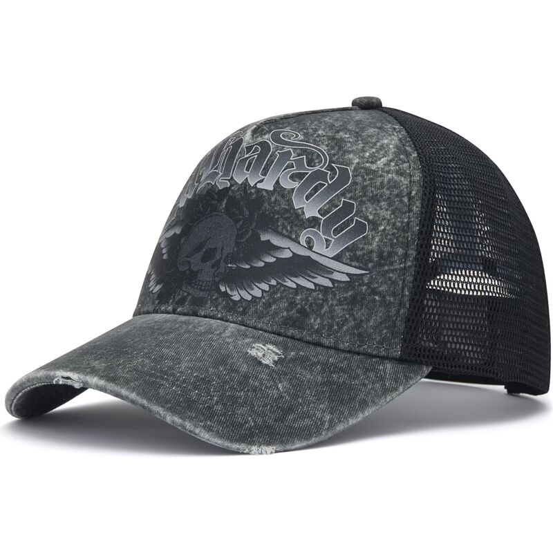 czapki-zakrzywiona-szary-snapback-flaming-gothic-skull-washed-ed-hardy