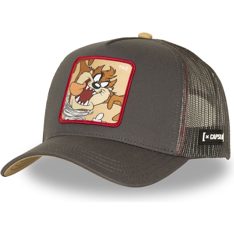 czapki-zakrzywiona-brazowy-snapback-diabel-tasmanski-looney-tunes-capslab