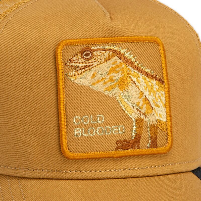 czapki-zakrzywiona-brazowy-snapback-circle-of-life-cold-blooded-tone-shift-the-farm-goorin-bros