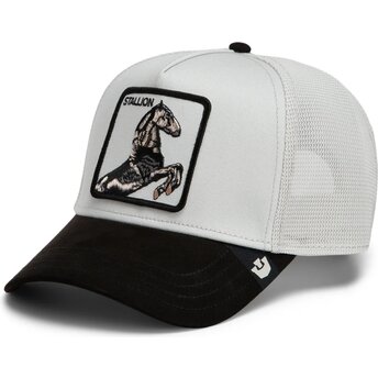 Czapki zakrzywiona szary snapback Suede Stallion Microsuede The Farm Goorin Bros.