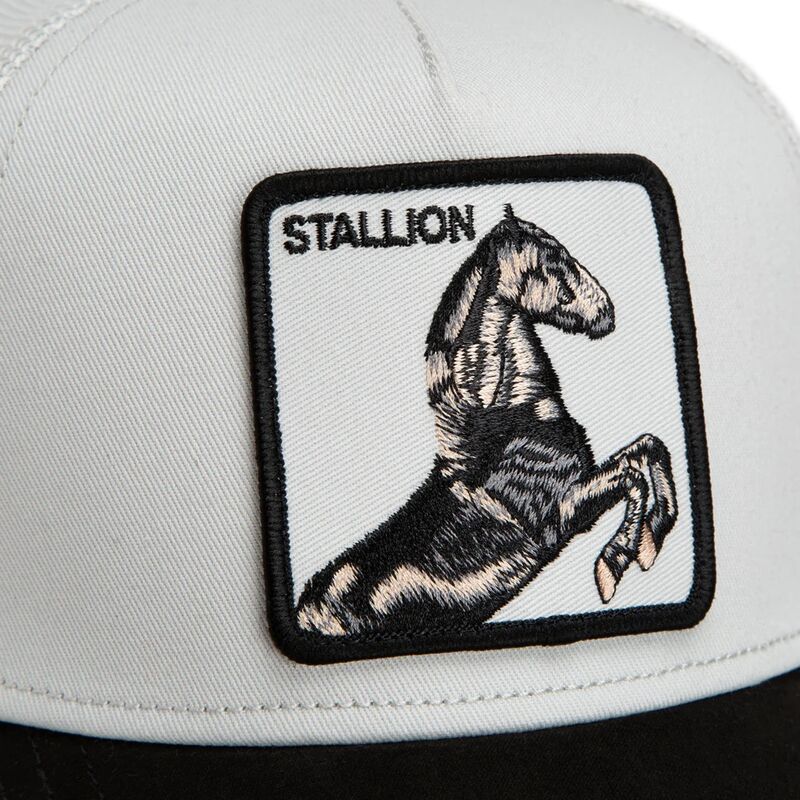 czapki-zakrzywiona-szary-snapback-suede-stallion-microsuede-the-farm-goorin-bros czapki-zakrzywiona-szary-snapback-suede-stallion-microsuede-the-farm-goorin-bros