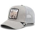 czapki-zakrzywiona-szary-snapback-suede-rhino-microsuede-bulletproof-the-farm-goorin-bros