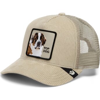 Czapki zakrzywiona beżowy snapback Corduroy Top Dog Ridgeline The Farm Goorin Bros.