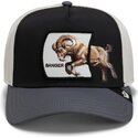 czapki-zakrzywiona-wielokolorowy-snapback-banger-migration-the-farm-goorin-bros